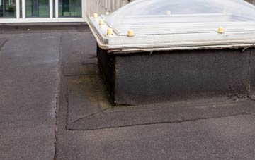 disadvantages of Dunnerholme flat roofs