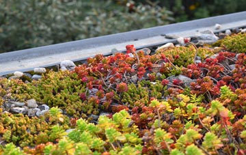 the cost of Dunnerholme green roof installation