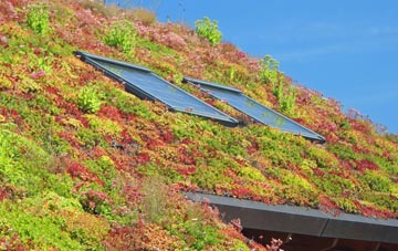 Dunnerholme living roof systems
