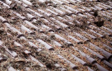 Dunnerholme roof cleaning companies